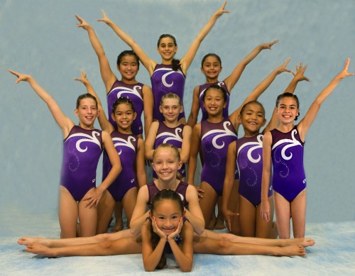 The Kona Aerials gymnastics team 2008