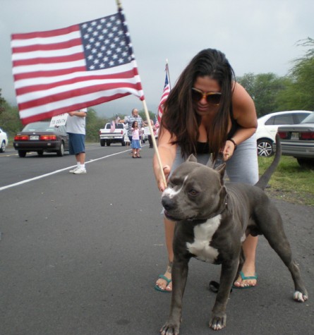 taxteaparty3 Kaleema Faris shares flag-waving duties with her blue pitbull, Kanamo, in Kona during the Tax Day Tea Party. (Hawaii247.com photo by Karin Stanton)
