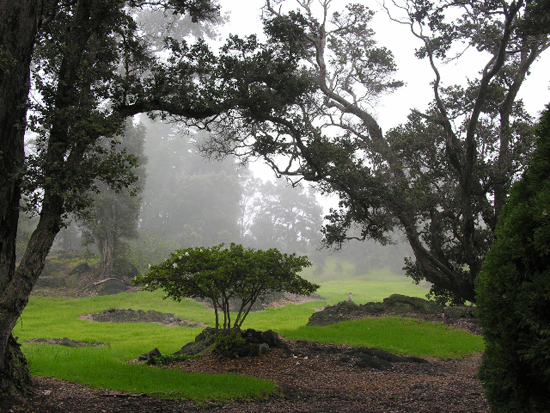AnaihouGardens Ainahou Ranch House and Gardens (Photo courtesy of Lanaya Deily)