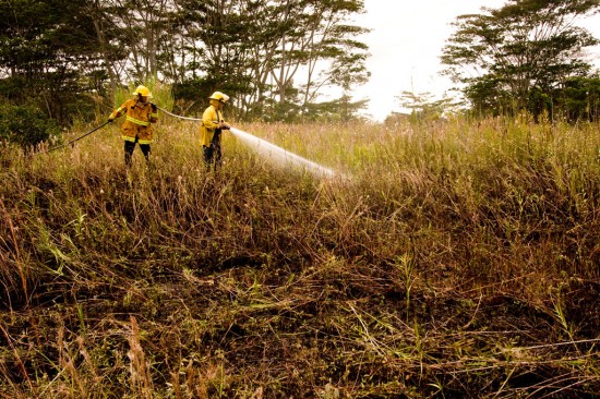 Crews put down hotspots  at a brushfire in Hawaii Beaches subdivision near Lalakea Street.