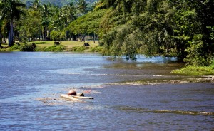 20100227_tsunami-wailoa-river