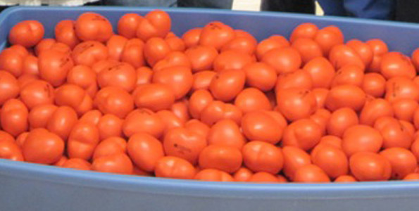 Stress Balls With Faces. lori rogers, stress balls