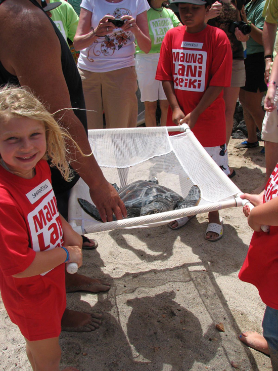 Turtles2010Samantha