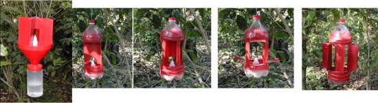 cbb-photo1-broca-trap Photo 1. Broca trap