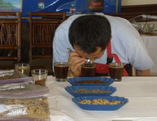 cupping finals 2010 wataru mori