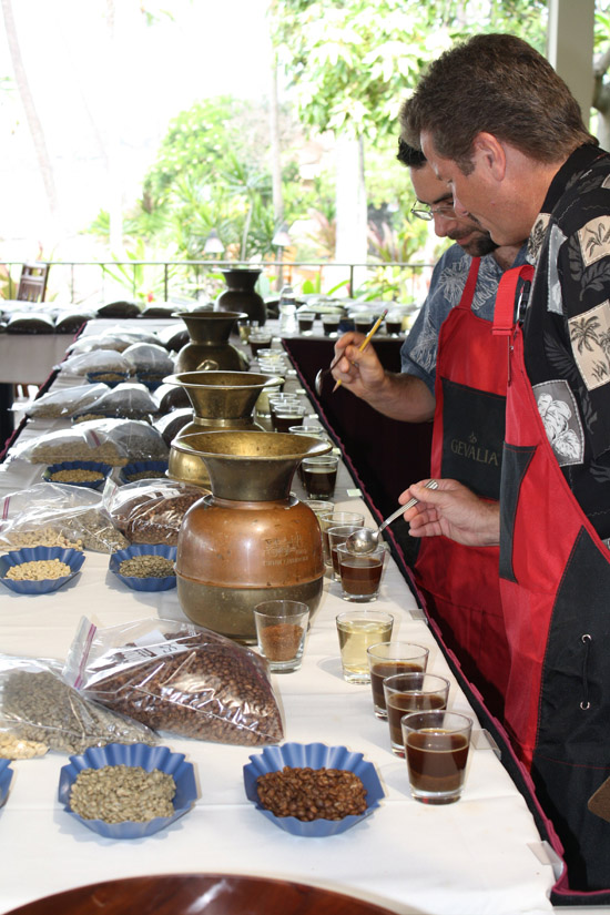 CuppingPrelim2010
