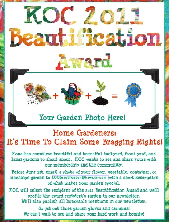 KOCBeautification2011Flyer