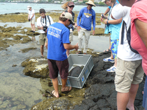 Lefty-Turtle-volunteers