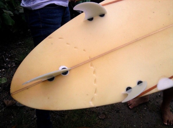 surfboard-shark-bite