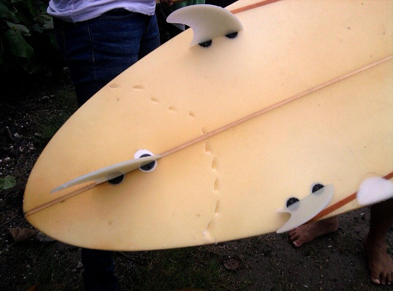 shark bite tattoo. shark bite surfboard. a surf