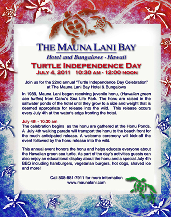 TurtleDay2011Flyer