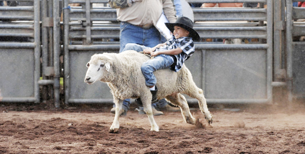 ParkerRodeoSheepKid_t
