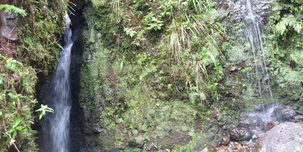 ProtectingHawaiiWater