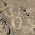 Guided geology hike explores footprints in the Ka‘u Desert Sunday (Jan 29)
