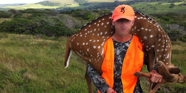 Hunters encouraged to help control axis deer Hunters encouraged to help control axis deer