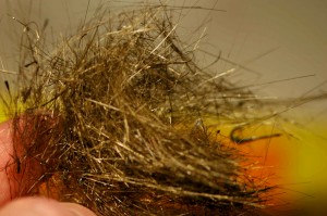 usgs-peles-hair Examining a fresh sample of Pele's hair from the lava lake within the Halema`uma`u Overlook vent. Photo courtesy of USGS/HVO