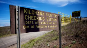 Kilohana Hunter Checking Station. Hawaii 24/7 File Photo