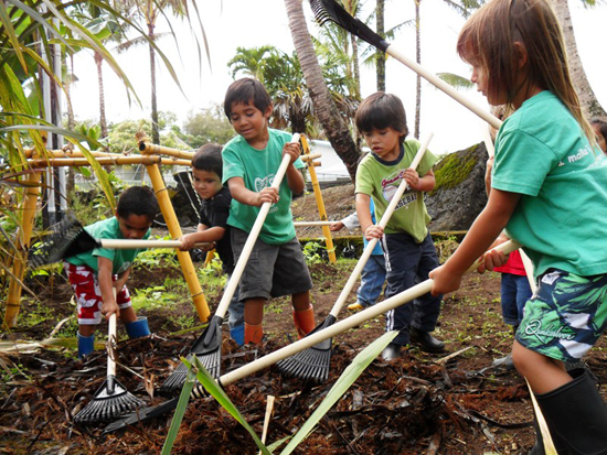 Students from Punana Leo o Hilo Preschool in Keaau prepare their school garden for planting. (Photo courtesy of the Hawaii Island School Garden Network)
