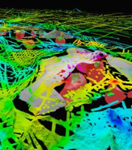 3-D view of topography and seafloor relief of Hawaiian Islands; colors show residual gravity anomaly. (Image courtesy of UH)