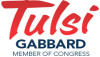 Gabbard announces reelection campaign GabbardCampaign2014Bug