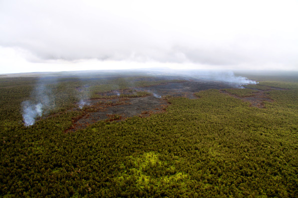 The Kahaualeʻa 2 flow remains active, with scattered pāhoehoe breakouts driving slow advancement of the flow field through the forest Monday (April 7, 2014). Breakouts at the flow margins trigger forest fires, and numerous plumes of smoke. Today, the flow front was 8.2 km (5.1 miles) northeast of the vent on Puʻu ʻŌʻō. Photo courtesy of USGS/HVO