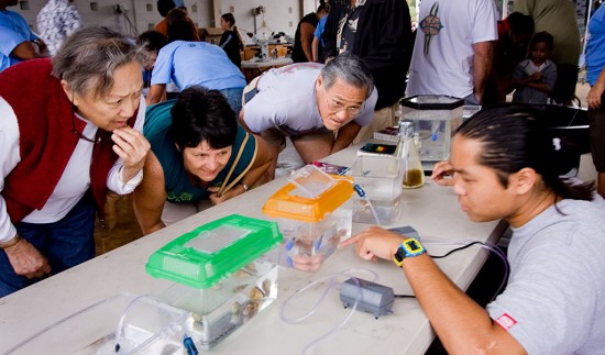 20090425_oceanfair-hermitcrab UH-Hilo Marine Sciences student Arik Dadez, right, shows-off a large hermit crab along with other marine invertebrates to Helene Suganuma, Lorri Ellison and Glen Fujinaga during the Ocean Day Hawaii event held at the Hilo Pacific Aquaculture and Coastal Resources Center.