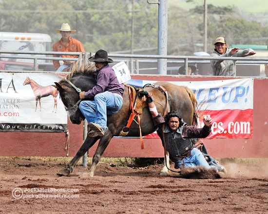 hhsra-sf_sat_061309_0371-levikalani-jhs Levi Rita wrestles a bucking bare-back bronc that Kalani Grace is hung up on during Friday rodeo action. Photography by Jock Goodman/Special to Hawaii247.com