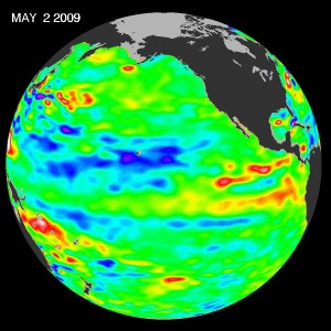 sea-surface-temperatures The latest image of sea surface temperatures from NASA's Jason-1 satellite. There is some warming in Eastern Pacific on equator (in red). The PDO signal is still strong. Credit: NASA JPL