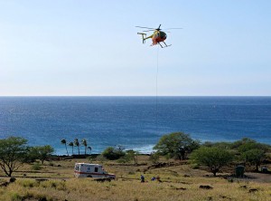 20100214_helo1