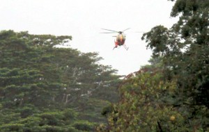 20100406_chopper1-search