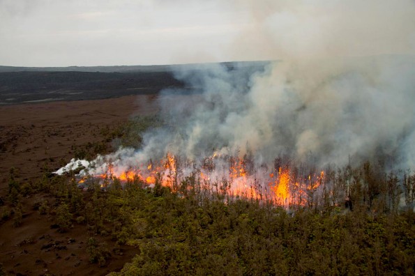 20110305_5509_torr_A_L New fissure eruption southwest of Pu‘u ‘O‘o between Pu‘u ‘O‘o and Napau crater. Spatter is reaching 15-20 meters into the air, above the trees.