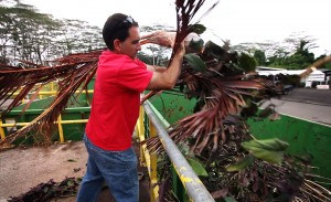20110503_keaau-ts-carl-mederios Hawaiian Paradise Park resident Carl Mederios tosses greenwaste into a bin at the Keaau Transfer Station. Mederios said he will either take future greenwaste to the Pahoa Transfer Station or keep it in his yard