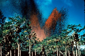 1960-Kapoho-Eruption-usgs Hawaii Volcanoes National Park. 1960 eruption of Kilauea Volcano. Papaya and fountain at Kapoho. January 1960. Photo courtesy of USGS.