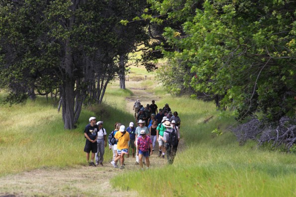 _P6D2983 by Dave Boyle October 8 marked the grand opening of the Palm Trail, a new 2.6-mile loop trail in Kahuku, at Hawai‘i Volcanoes National Park’s Kahuku Unit in Ka‘u. Photo courtesy of NPS/Dave Boyle