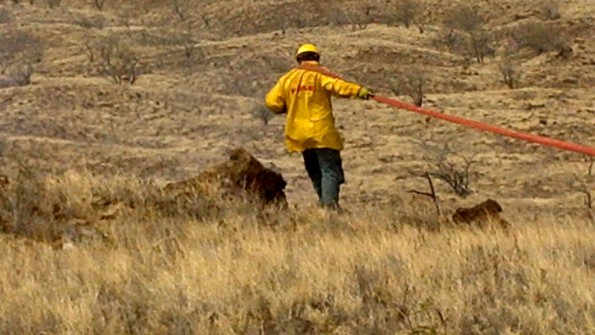 20120218_waikoloa-fire-firefighter A firefighter pulls a hose line towards the leading edge of the fire in Waikoloa. Photo by Bonnie Palos | Special to Hawaii 24/7