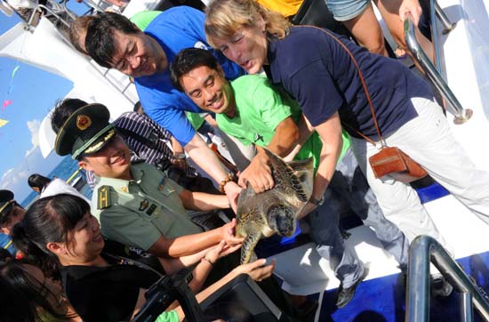 TurtleReleaseChina-1