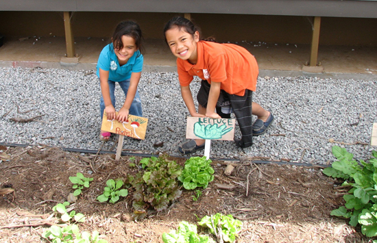 KALOStudentGarden