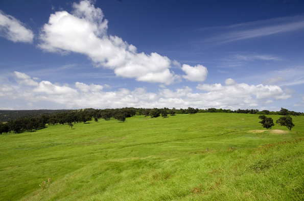 Panoramic view from Kahuku, the southernmost section of Hawaii Volcanoes National Park. (Photo courtesy of Mark Wasser | NPS)