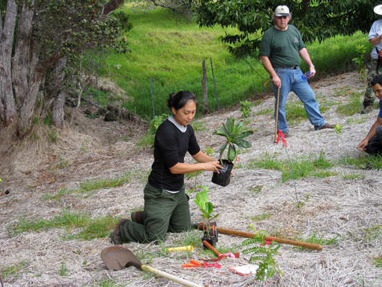 Go behind the scenes with Dr. Rhonda Loh, Dr. Thane Pratt and Linda Pratt, hosted by the Hawaii Volcanoes Institute. (Photo courtesy of Hawaii Volcanoes National Park)