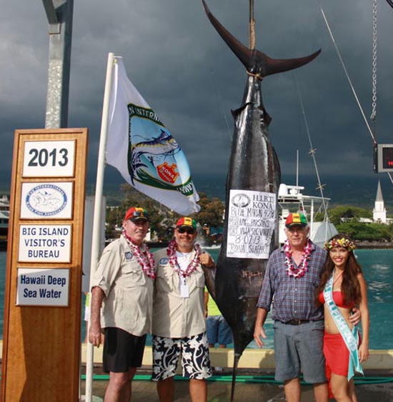 At a svelte 428 pounds, the Pacific blue marlin weighed in by Port Vila Sport Fishing Club of Vanuatu (Team #14) at Wednesday’s Hawaiian International Billfish Tournament. (Photo courtesy of HIBT)