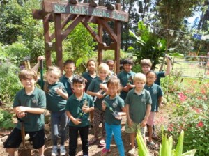 Waimea Country School's "Na Keiki Aloha Aina" garden program was selected to receive one of five 2013 Aloha Grown Malama Honua Fund Awards last year. With their $500 award, they were able to purchase new gardening tools and cooking utensils, as they continue to cultivate and teach 'garden to plate' sustainability to their keiki.