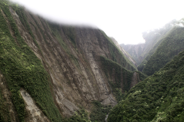 Landslides triggered by the magnitude-6.7 Kīholo Bay and magnitude-6.0 Māhukona earthquakes on October 15, 2006, stripped vegetation from the East Branch of Honokāne Nui Valley and extensively damaged the Kohala Ditch Trail that zigazags across the valley wall. USGS photo.