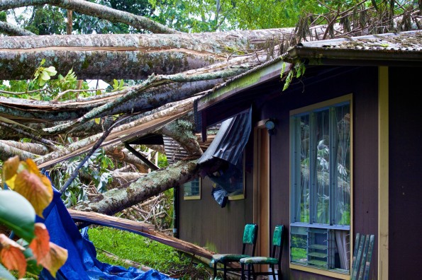 A home in Hawaiian Beaches was crushed by an Albizia tree fallen from Tropical Storm Iselle. Image taken August 21, 2014. Photography by Baron Sekiya | Hawaii 24/7