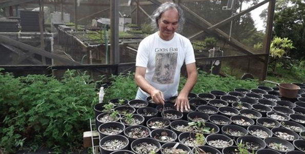 Tane Datta, Hawaii Island farmer and president of Adaptations, Inc., at his farm in Captain Cook. Datta secured a $2,500 loan through Kiva Zip to finance a new roof for a greenhouse. (Photo courtesy Kiva.org)
