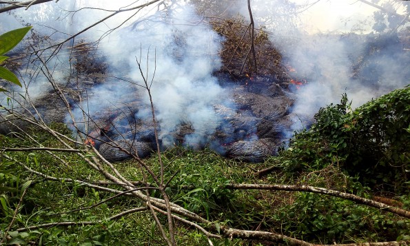 The June 27th lava flow burns through thick vegetation below the pasture downslope of the Pāhoa cemetery at 11:15 a.m. on Monday, October 27, 2014. As of 2 p.m. Monday (Oct 27), the leading edge of the lava was 520 meters (or 570 yards) from Pahoa Village Road. Photo courtesy of USGS/HVO