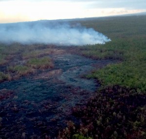 The upslope portion of the Kilauea June 27th Lava Flow. Photo taken at 6:30 a.m., Wednesday, November 26, 2014. Photo courtesy of Hawaii County Civil Defense
