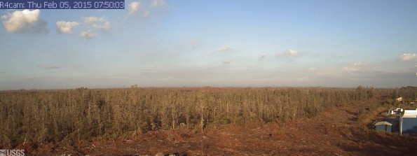 A photo looking west from a research camera temporarily positioned southeast of the Pāhoa Marketplace, this image shows the June 27th lava flow area. The image was taken at 7:50 a.m. Thursday, February 5, 2015. This camera that took this was installed through a collaboration between the USGS Hawaiian Volcano Observatory, Oceanic Time Warner Cable, and Bryson's Cinders Inc.
