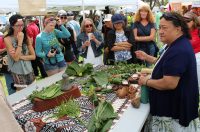 The medicinal use of Hawaiian plants is explained by Ka‘ohu Monfort at the 2016 Cultural Festival. NPS Photo/Sami Steinkamp.
