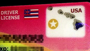 Hawaii Driver's License Gold Star