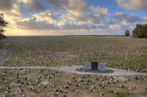 Midway Atoll National Wildlife Refuge and Battle of Midway National Memorial within Papahānaumokuākea Marine National Monument is a special place for over three million seabirds - they return to Midway Atoll each year to rest, mate, lay eggs and raise their chicks. USFWS Photo by Dan Clark